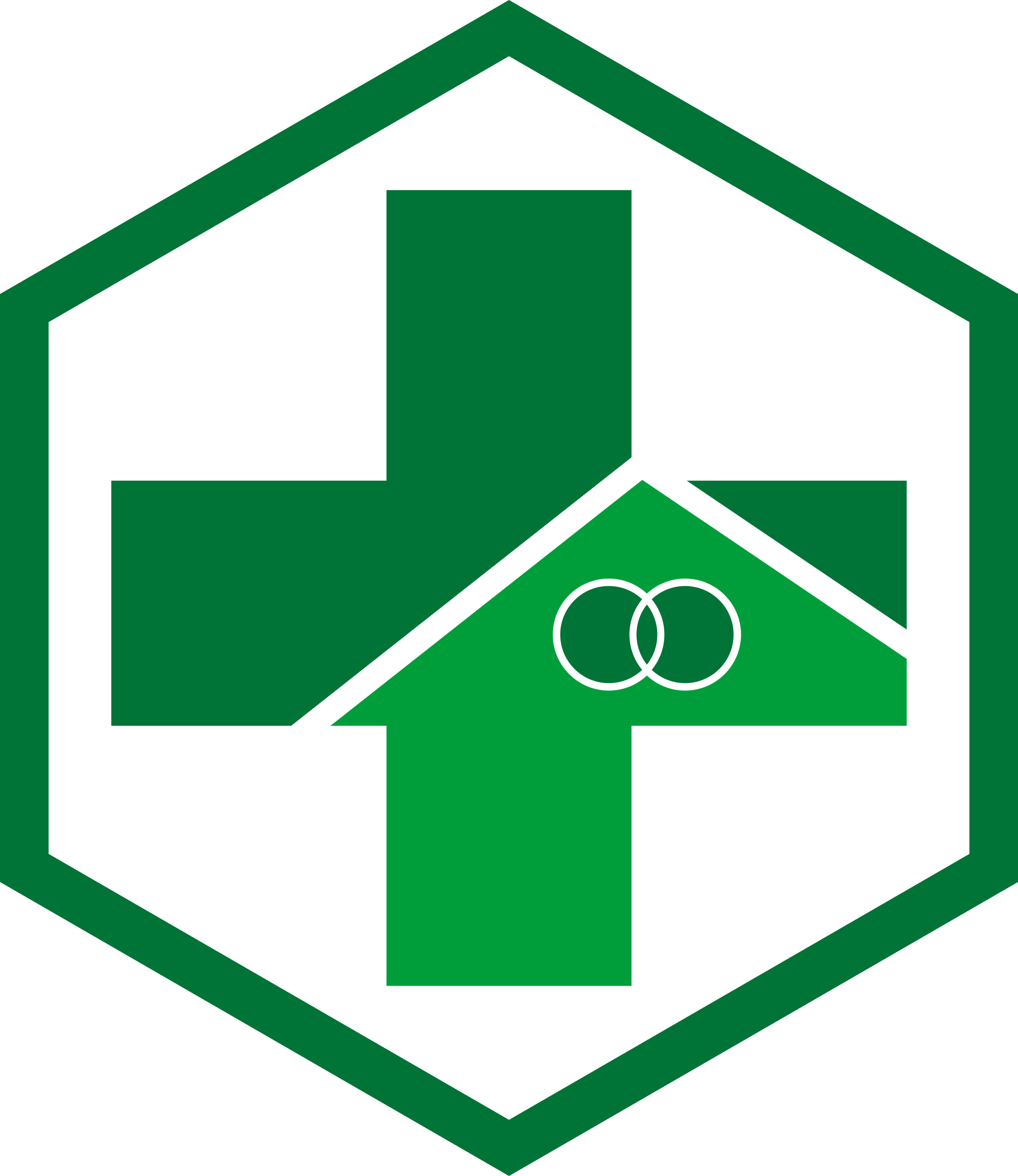 Logo Puskesmas